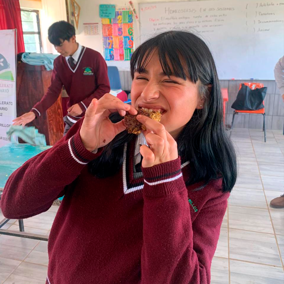 El programa en acción - Foto 3